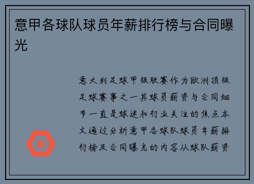 意甲各球队球员年薪排行榜与合同曝光