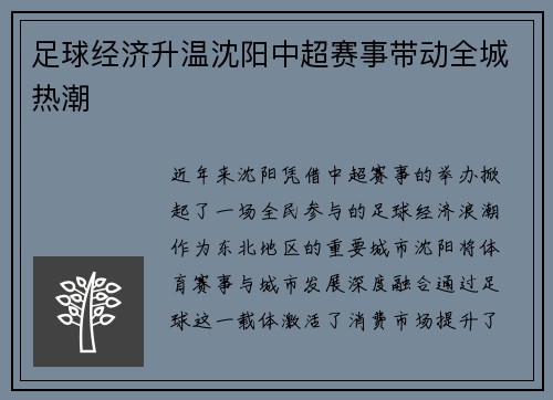 足球经济升温沈阳中超赛事带动全城热潮