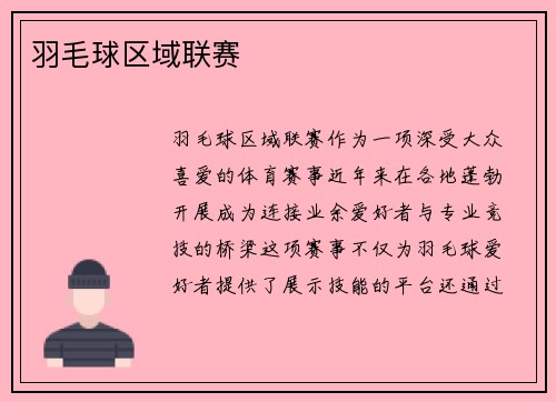 羽毛球区域联赛